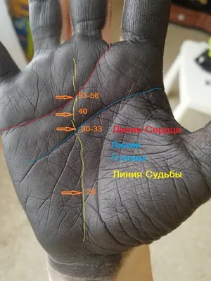 Хотите знать, где вы сейчас на линии Судьбы? | Хиромантесса | Дзен