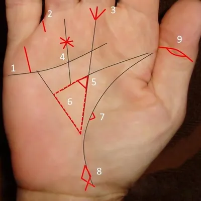 Толкование редких знаков на руке в хиромантии | Лисичка | Дзен