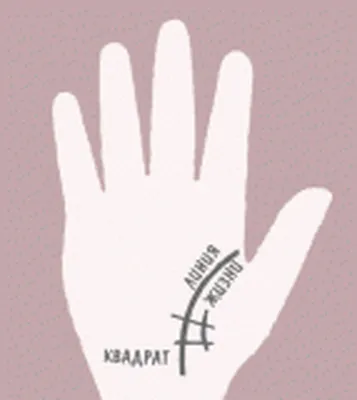 🖐🏻Денежный треугольник и другие денежные линии🖐🏻 | Хиромантия -  заметки🔍🖐🏻 | Дзен