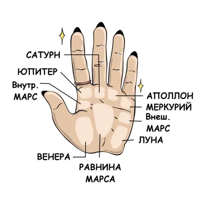 Ответы Mail.ru: Кто разбирается в хиромантии, подскажите, есть ли на моей  руке особые знаки (рыба, глаз), и что за знак посередине ладони?