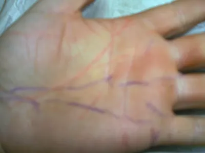 Что означает знаки которые показывают руками｜Поиск в TikTok