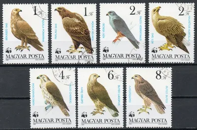 Охраняемые хищные птицы Венгрия 1983 год серия из 7 марок. Купить в Беларуси  — Марки Ay.by. Лот 5026597394