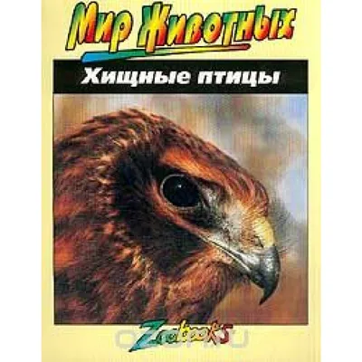 Хищные птицы. Дж. Б. Вексо — купить книгу в Минске — Biblio.by