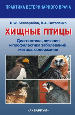 2020 Малый Лист Хищные Птицы Украины Фауна №1852-1859 (Купить)
