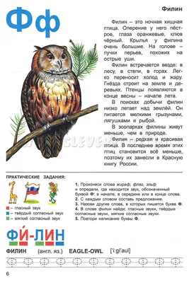 24 сентября 2016 г. завершилась VII Международная конференция по  соколообразным и совам Северной Евразии