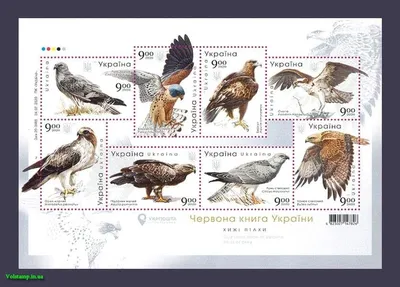 2020 Малый Лист Хищные Птицы Украины Фауна №1852-1859 (Купить)