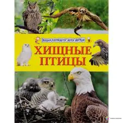 Хищные птицы Уилбур Смит купить книгу в Киеве, Украине с доставкой цена