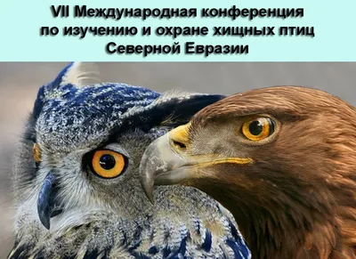 VII Международная конференция по изучению и охране хищных птиц Северной  Евразии