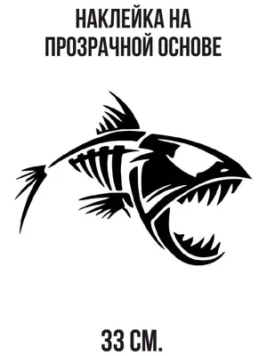 Виды живца для ловли хищной рыбы зимой | Аккумы Инфо