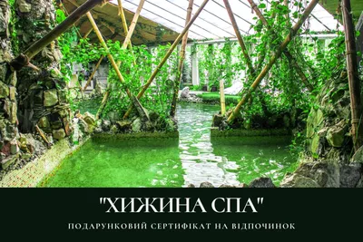 Хижина Спа (Higina Spa Hotel) 4*, Украина, Трускавец - «Оазис тишины и  покоя » | отзывы