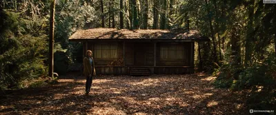 Хижина в лесу / The Cabin in the Woods (2012, фильм) - «Лучший стёб над  ужастиками всех времён!» | отзывы