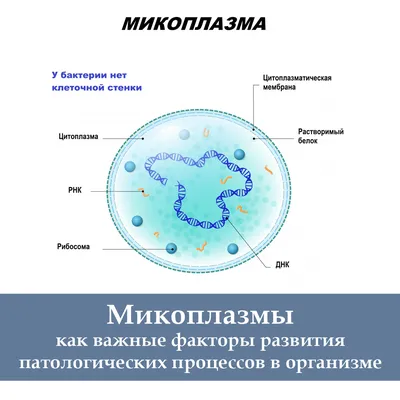 Е. Болезни регуляторных систем организма. Е.3. Заболевания эндокринной  системы. | Верни себе своё бессмертие! | Дзен