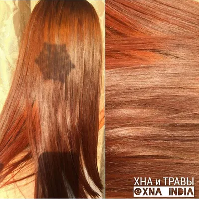 Окрашивание хной. Из светло-русого в Лисий Рыжий | XNA_INDIA Окрашивание  волос ХНОЙ | Дзен