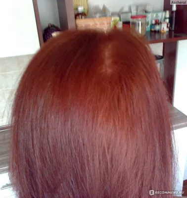 Хна рыжая на темные волосы (40 лучших фото)