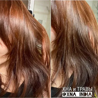 Краска для волос Артколор Хна иранская классическая - «Хна на темно-русые  волосы. Мой рецепт для осветления. ФОТО ДО и ПОСЛЕ.» | отзывы