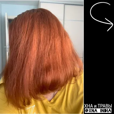 Волосы после хны: отзыв, как изменить цвет, обесцвечивание, причины  окрашивания краской в русый цвет, фото