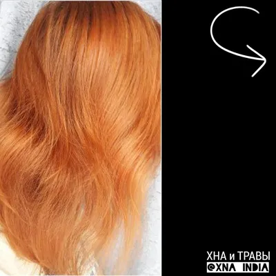Из светло-русого в золотисто-рыжий с помощью ХНЫ | XNA_INDIA Окрашивание  волос ХНОЙ | Дзен