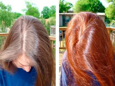 8 способов безопасного окрашивания волос: как изменить цвет волос без  аммиака? - Рамблер/новости