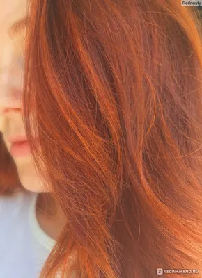 Рыжая Хна против Рыжей краски. Наглядное ДО и ПОСЛЕ | XNA_INDIA Окрашивание  волос ХНОЙ | Дзен