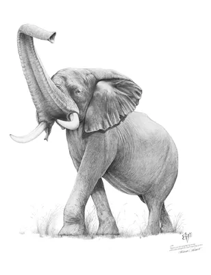 Хобот слона и дом» — создано в Шедевруме