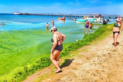 В Анапе в июне зацвело море, море в Анапе, отели Анапы, отдых в Анапе - 9  июня 2022 - 93.ру