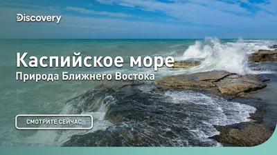 Лучшие направления, куда можно поехать отдыхать в марте 2024 на море