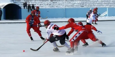 Финал Высшей лиги по хоккею с мячом пройдет в Красноярске