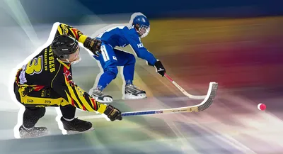 Финал чемпионата мира по хоккею. Канада - Россия - фотоистории на BFM.ru