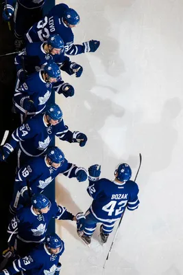 Пин от пользователя Toronto Maple Leafs на доске Top Shelf Shots | Хоккей,  Обои, Хоккеисты