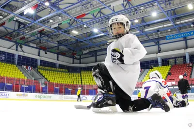 Хоккей в каждый двор! — Управление физической культуры и спорта  Администрации города Тулы