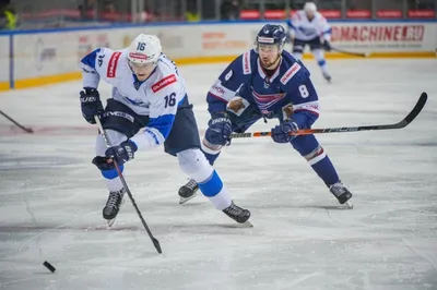 Хоккейный \"Сокол\" на своем льду обыграл лидера ВХЛ - Хоккей с шайбой в  Красноярске - новости спорта на Redyarsk.Ru