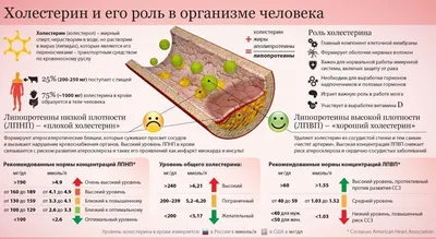 Качество зрения: как высокий холестерин влияет на глаза