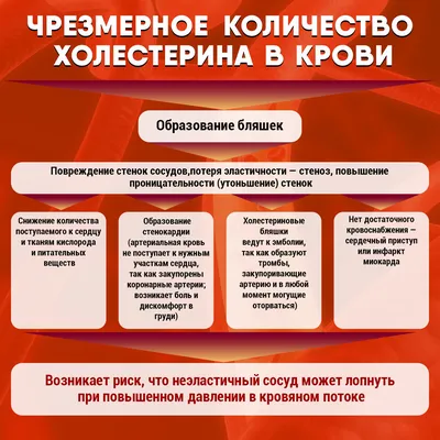 Белорусские врачи развеяли мифы о холестерине: как питаться и выбирать  продукты, холестериновые пятна на коже, влияние на зрение, что принимать  вместо статинов - KP.RU