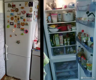 Панель ящика в холодильник Бирюса -129, 130, 131, 133, 146, 148 узкая -  купить с доставкой по выгодным ценам в интернет-магазине OZON (1006641236)