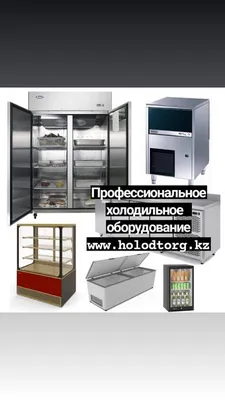 Холодильное оборудование - купить во Владивостоке | Синтез ТехВес