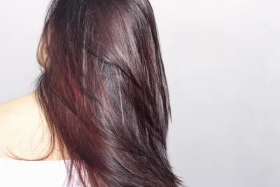 Балаяж на русые волосы: холодные, теплые оттенки - 100 фото | Balayage  hair, Cool hair color, Winter hair color