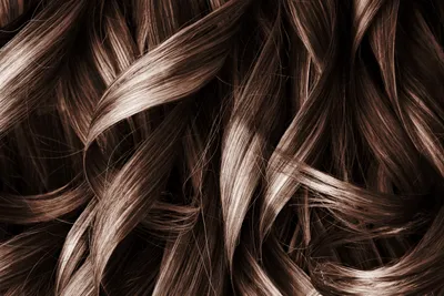Бордовый цвет волос [50 фото] – обзор красок для волос цвета бордо