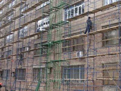 Хомутовые леса.Производство МЕГА — купить в Оренбурге по цене 300 руб за шт  на СтройПортал