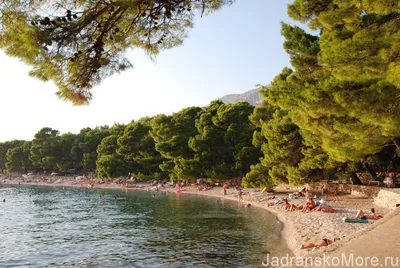 Brela Хорватия пляжа стоковое изображение. изображение насчитывающей  природа - 19522077