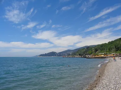 Хоста. Самый малолюдный пляж в Сочи, море, жильё, цены, отдых. Самый  честный обзор. (Папа Может) - YouTube