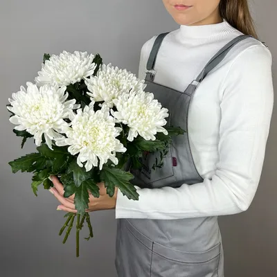 Букет хризантем №9 - заказать цветы с доставкой в Ульяновске - Вам Букет