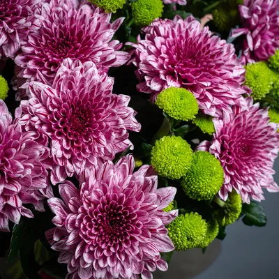 Цветы «Букет хризантем (11 шт)» с доставкой