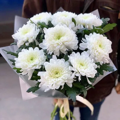 Букет из 9 белых кустовых хризантем купить недорого с доставкой в Челябинске