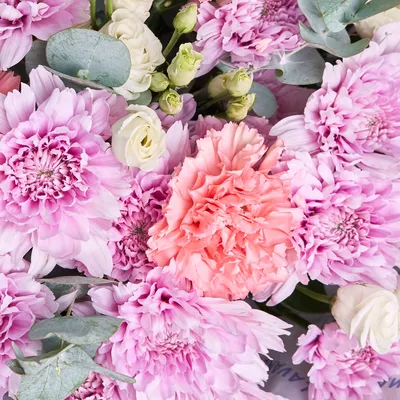 Купить цветы букет Букет из 35 кустовых хризантем в фиолетовой упаковке в  интернет магазине в СПб