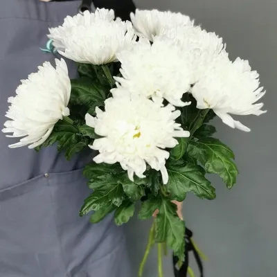 9 белых кустовых хризантем в вазе купить в Челябинске с доставкой по низким  ценам