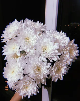 Нежный сборный букет из пионовидных кустовых роз, одноголовых роз и хризантемы  Оптимист в упаковке из фоамирана, отправился на доставку.… | Instagram