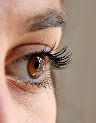 Конъюнктивит: почему краснеют глаза и как их лечить - Лайфхакер