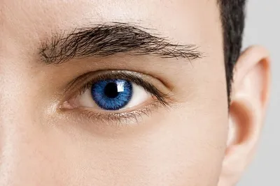 Можно ли носить контактные линзы при конъюнктивите?