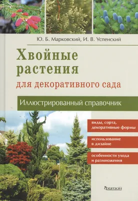 Хвойные деревья и кустарники - прекрасное украшение сада