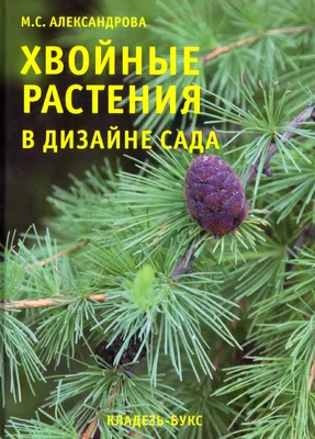 Питомник саженцев растений Любужский в Могилеве | Цены на Туи Беларусь